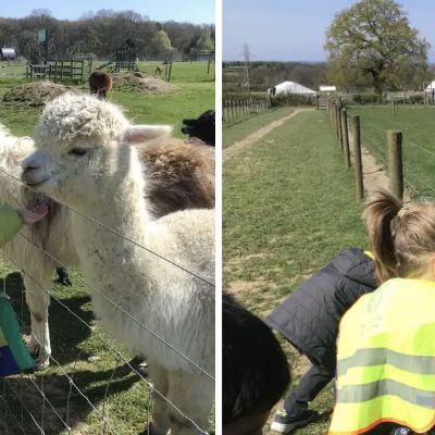 Bluebell Dairy Farm